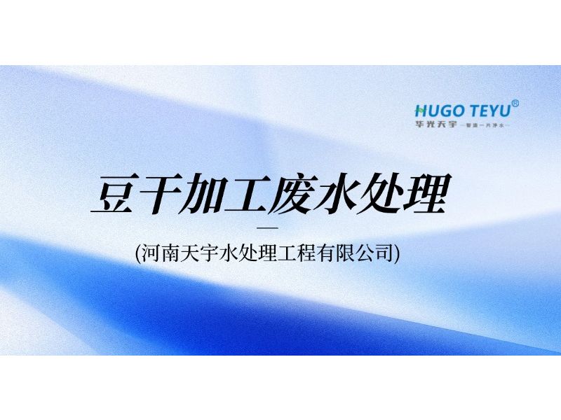 豆干加工废水处理工艺综述